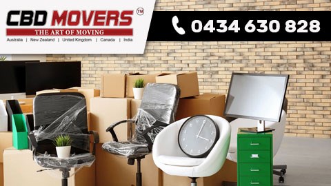 Portfolio: CBD Portfolio